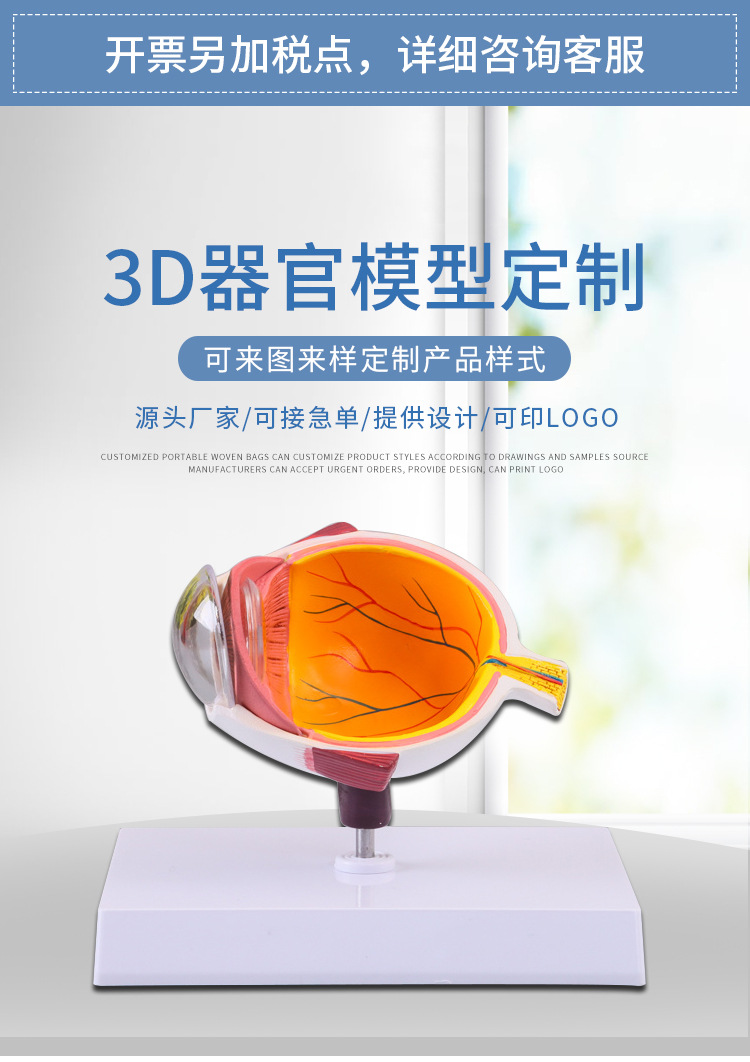 醫(yī)用教學(xué)器官模型在病理分析教育中的應(yīng)用 以單眼眼球模型為例